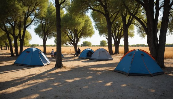 Les raisons de choisir un camping acsi en camargue