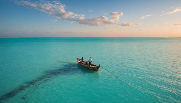 Excursion en bateau au banc d'arguin : itinéraire et conseils