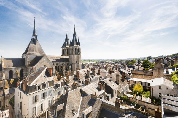 Explorez les merveilles cachées le long de la Loire