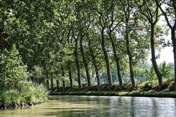 Canaux France : Naviguer les dédales de l'histoire et de la beauté naturelle