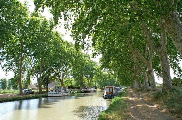 Quelle est l'histoire et la fonction des canaux de France ?